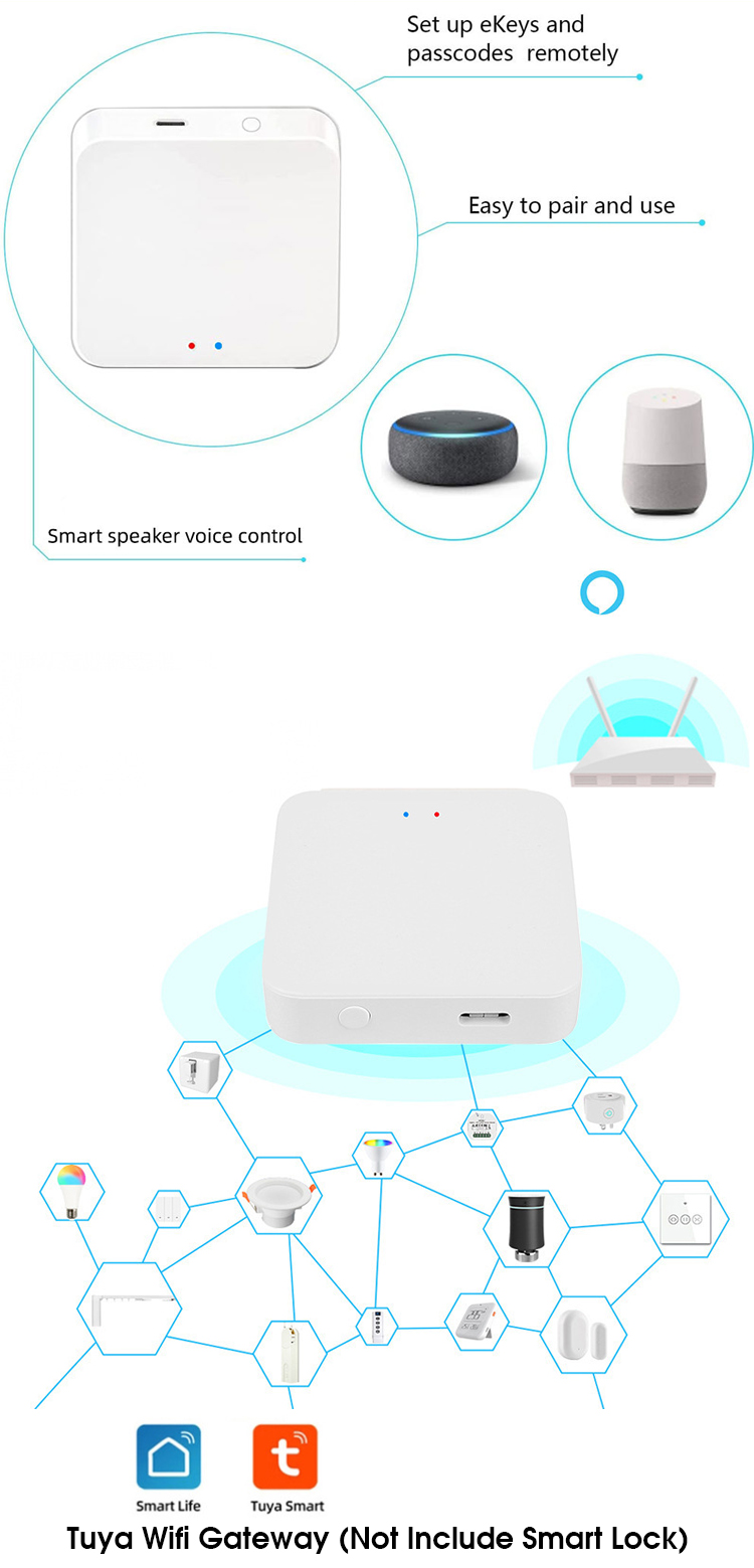 Tuya Wifi Gateway