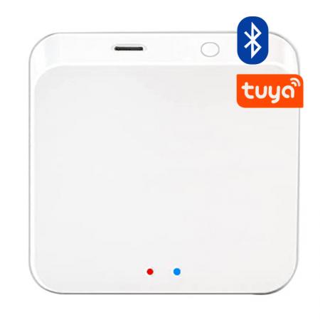 sa4 Tuya Wifi Gateway