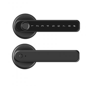 Tuya smart door lock